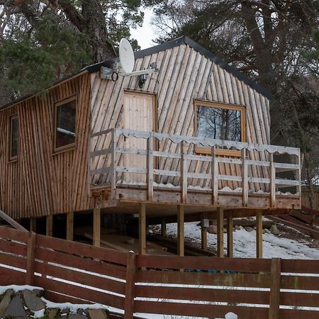 Pine Marten Bar Glenmore Treehouse Aviemore Bagian luar foto