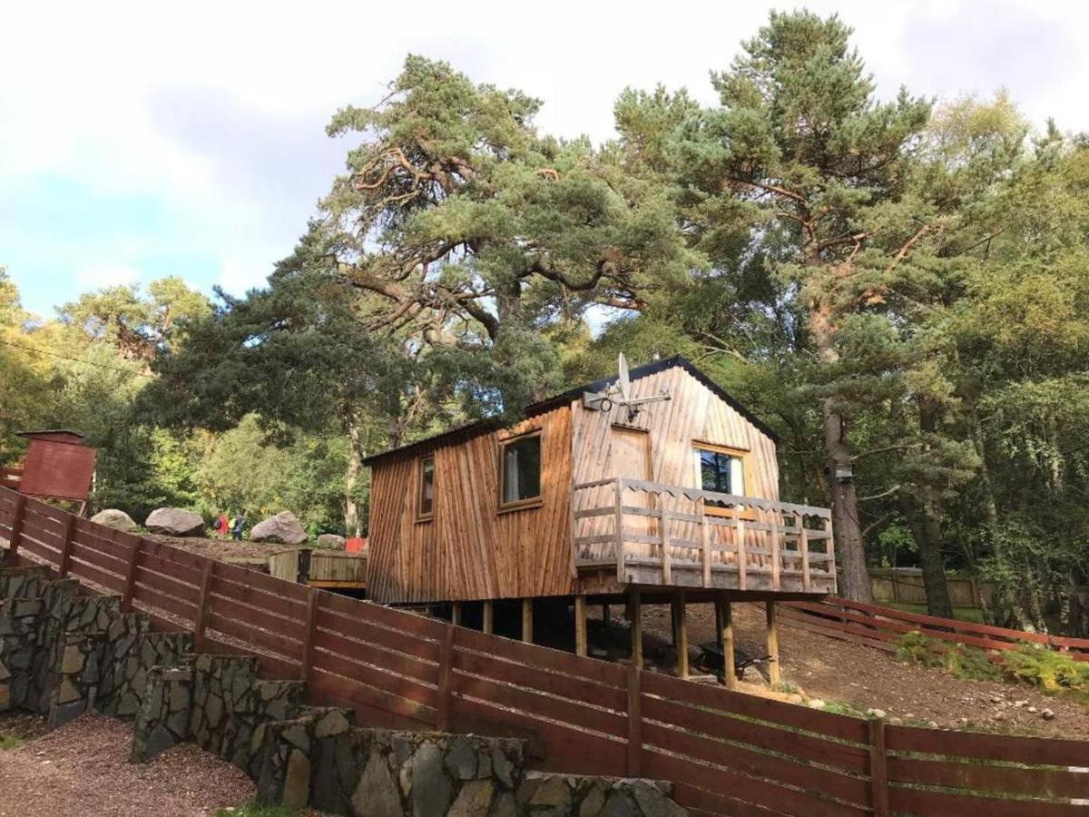 Pine Marten Bar Glenmore Treehouse Aviemore Bagian luar foto