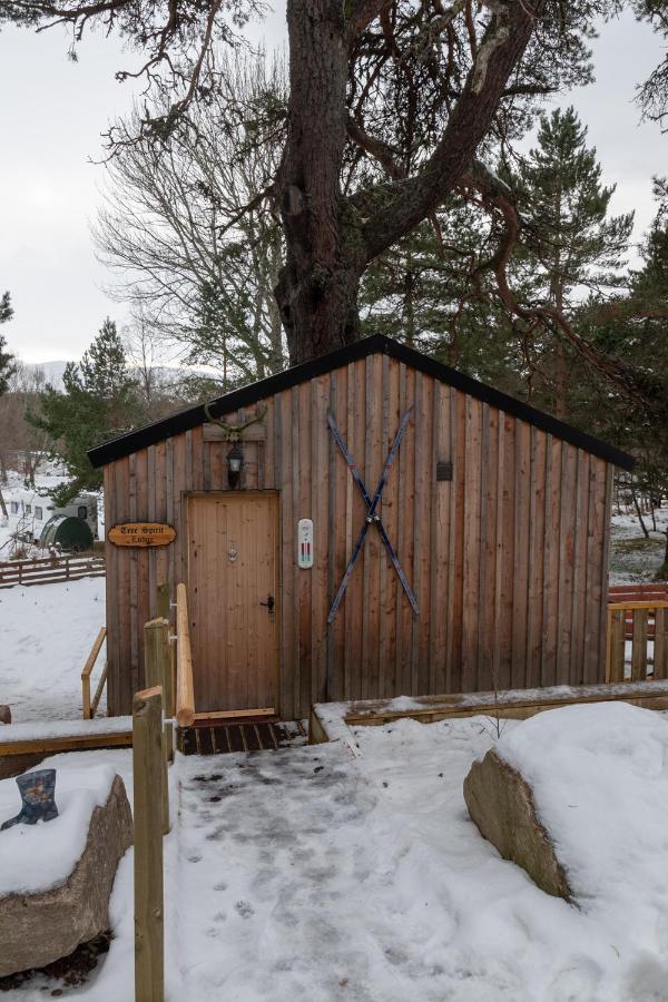 Pine Marten Bar Glenmore Treehouse Aviemore Bagian luar foto